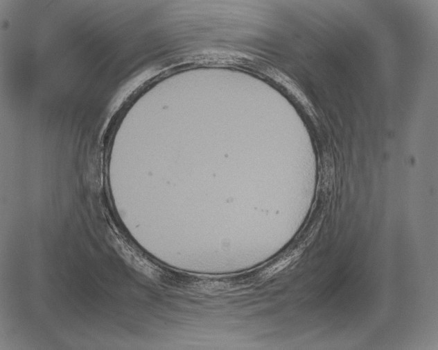 X0000081611075200702121609