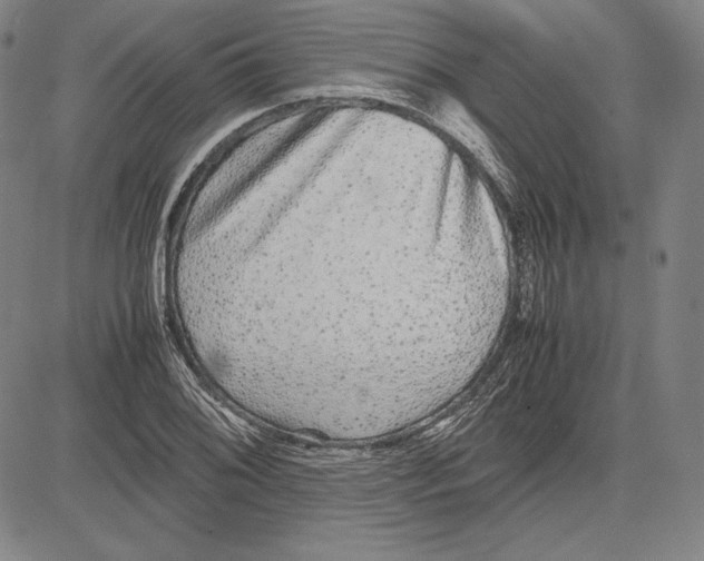 X0000081611076200702121609