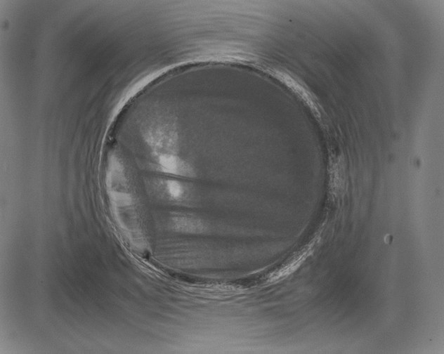 X0000081611077200702121609