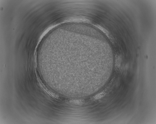 X0000081611078200702121609