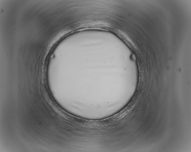 X0000081611079200702121609