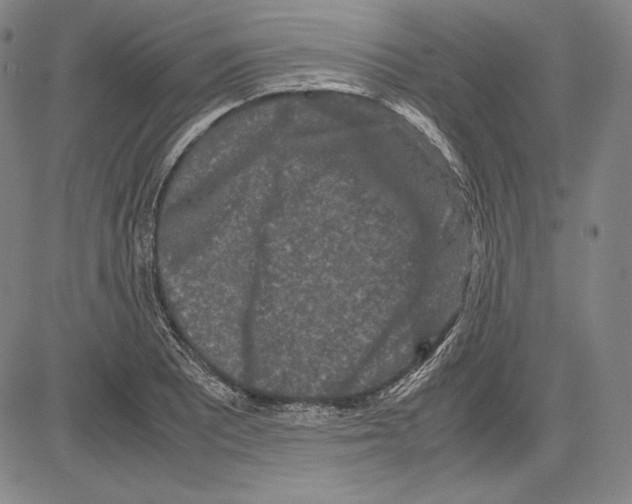 X0000081611081200702121609