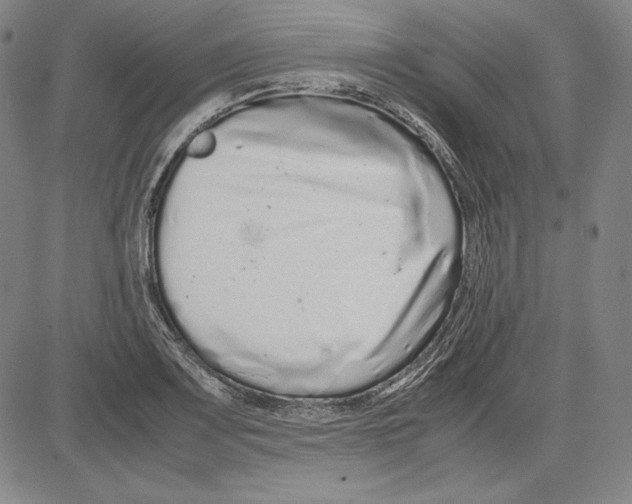 X0000081611083200702121609