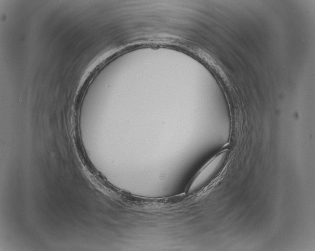 X0000081611085200702121609