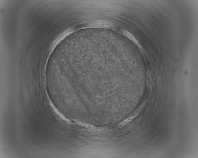 X0000081611087200702121609