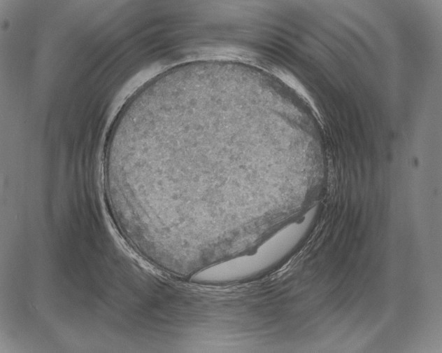 X0000081611088200702121608