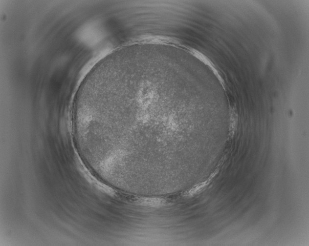 X0000081611090200702121608