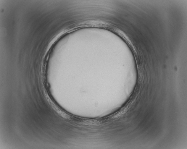 X0000081611091200702121608