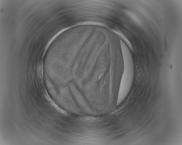 X0000081611092200702121608