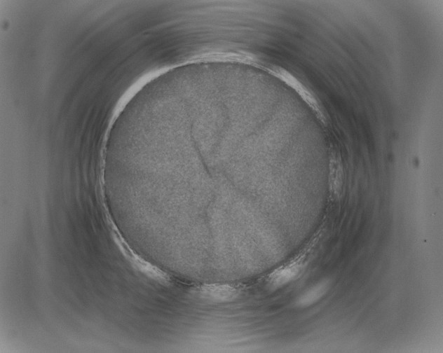 X0000081611094200702121608