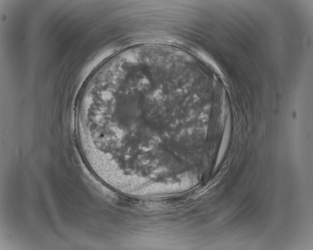 X0000081611095200702121608