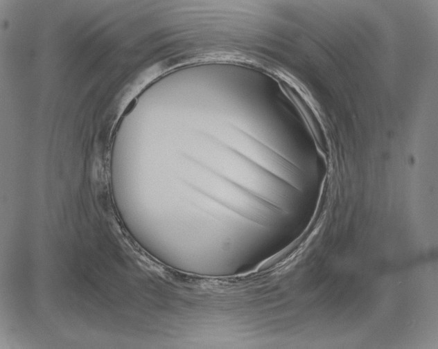 X0000081611097200702121608