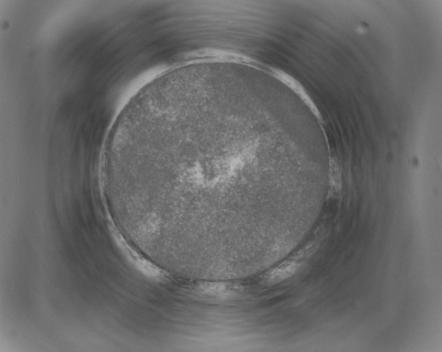 X0000081611098200702121608