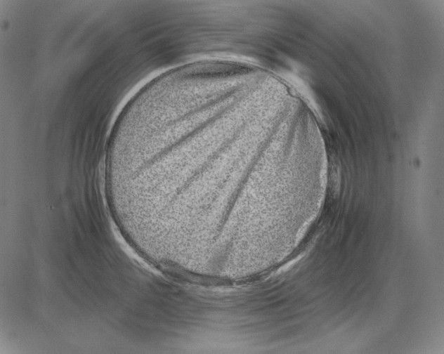 X0000081611100200702121608