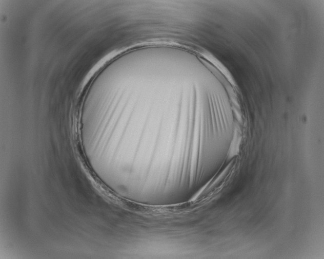 X0000081611101200702121608