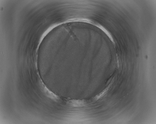 X0000081611102200702121608