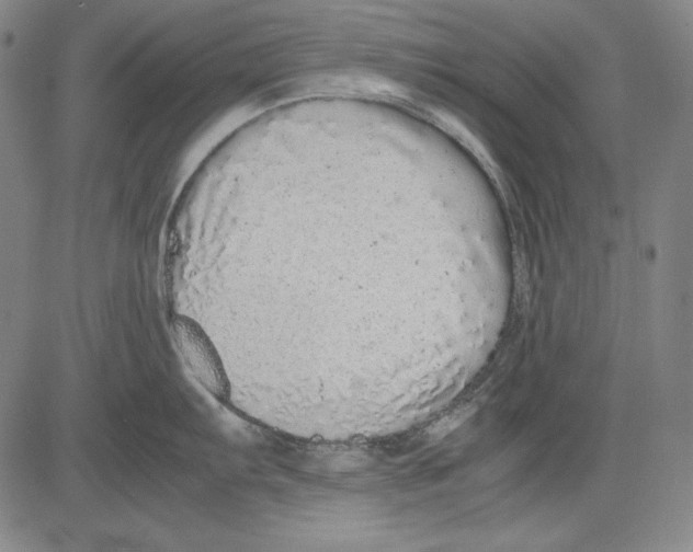 X0000081611103200702121608