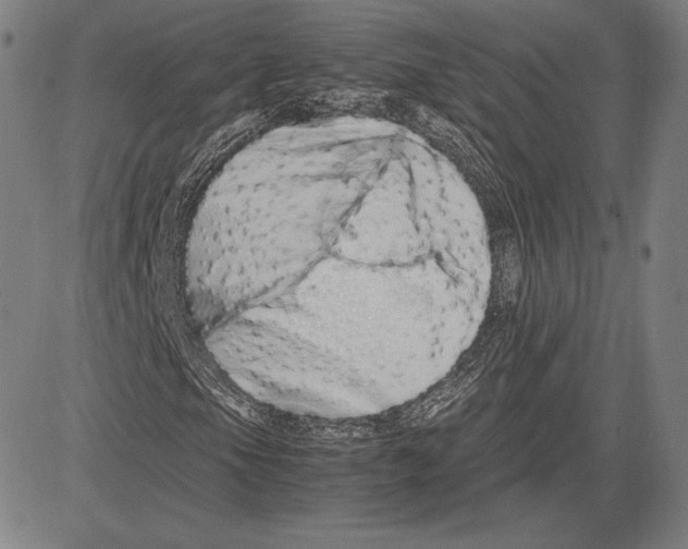 X0000081611105200702121607