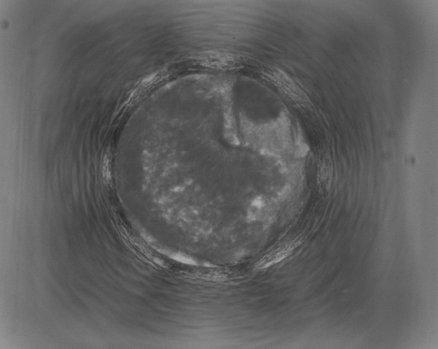 X0000081611106200702121607