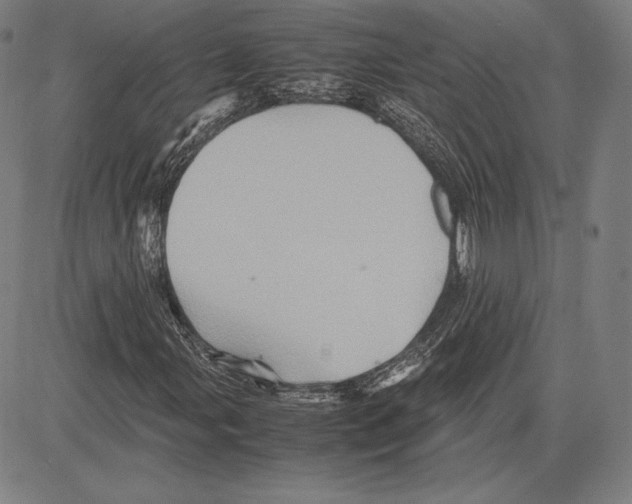 X0000081611107200702121607