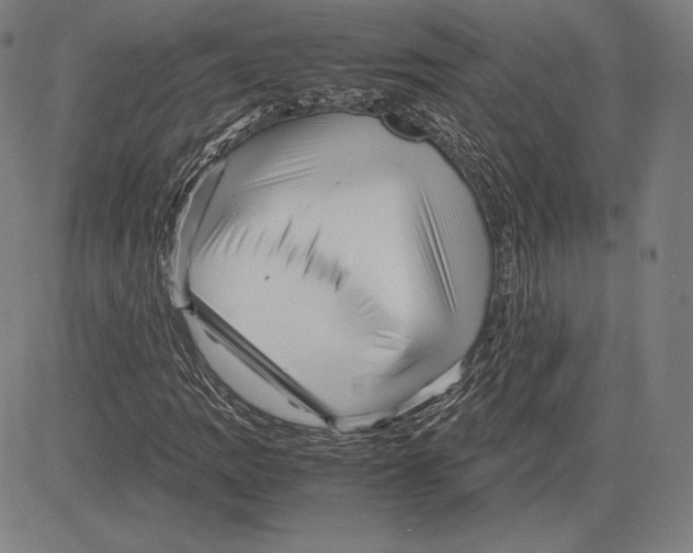 X0000081611109200702121608