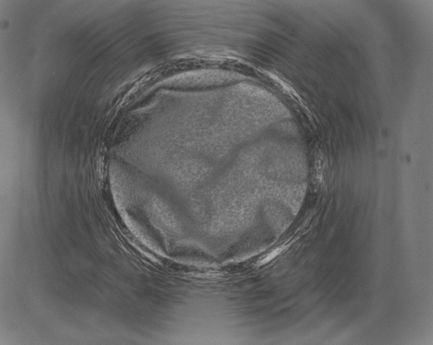 X0000081611110200702121608