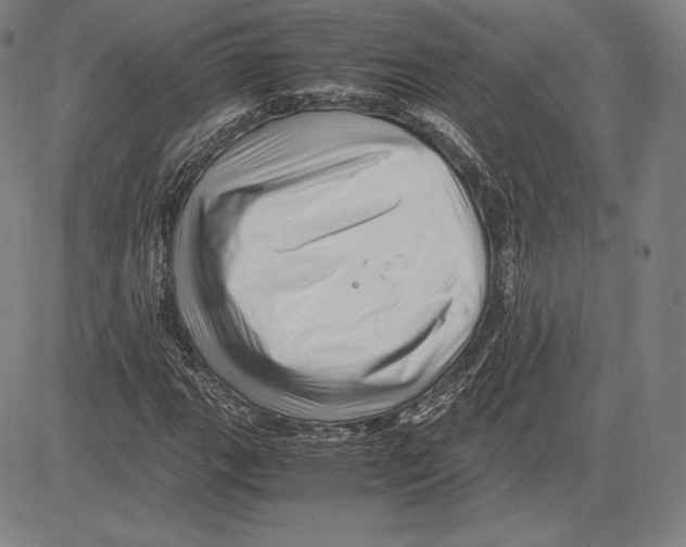 X0000081611111200702121608