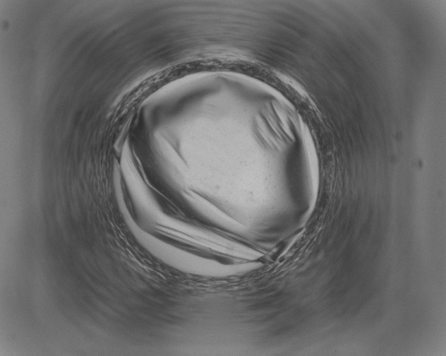 X0000081611112200702121608