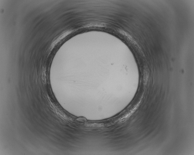 X0000081611113200702121608