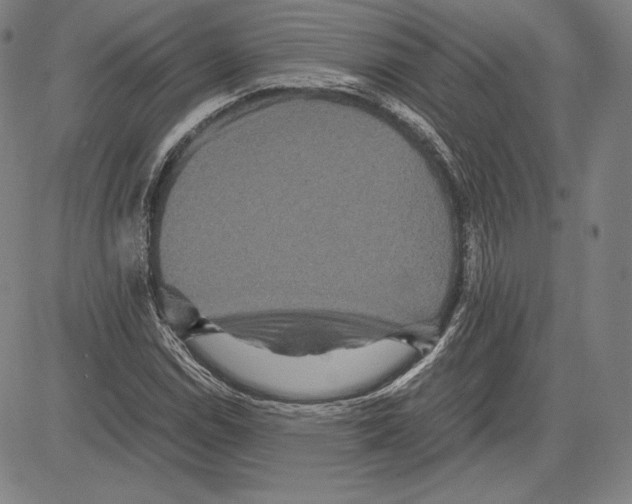 X0000081611114200702121608