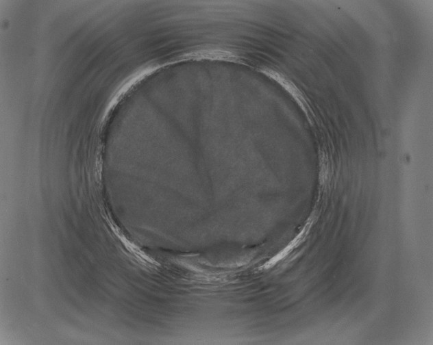 X0000081611115200702121608