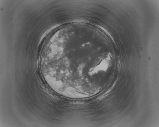 X0000081611117200702121608