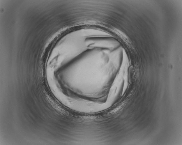 X0000081611118200702121608