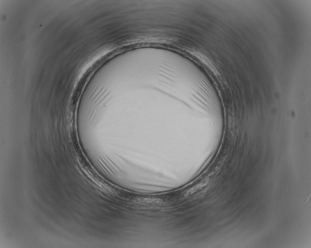 X0000081611119200702121608