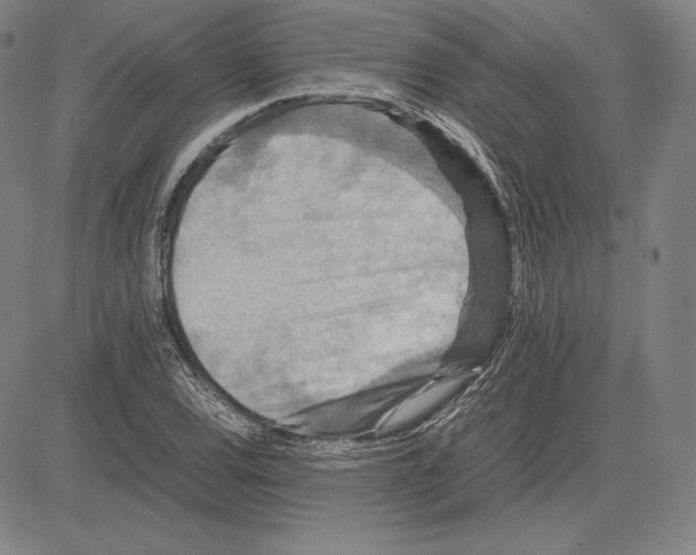 X0000081611120200702121608