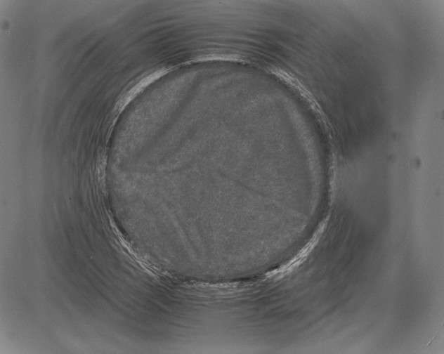 X0000081611121200702121608