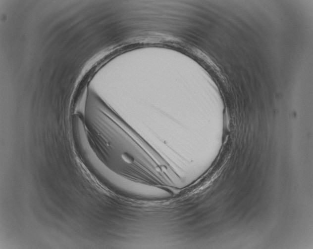 X0000081611122200702121608