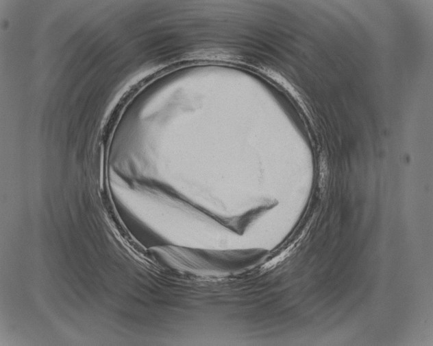 X0000081611123200702121608