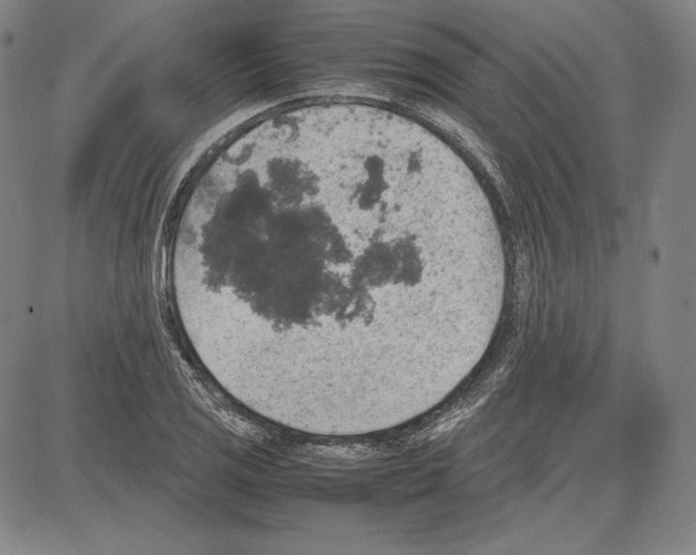 X0000081611125200702121608