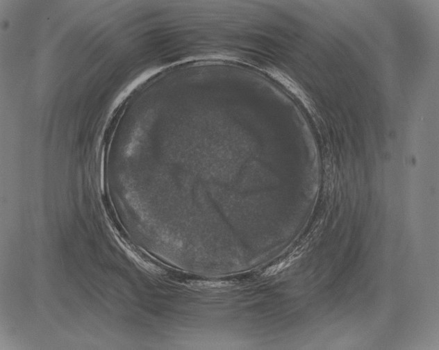 X0000081611127200702121608