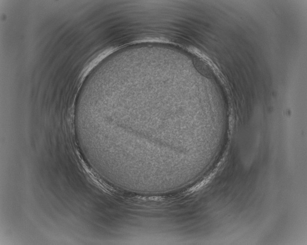 X0000081611129200702121608