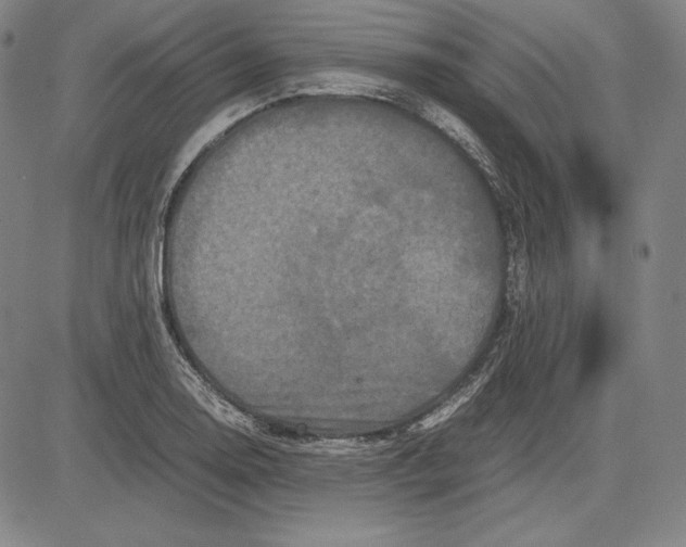 X0000081611130200702121608