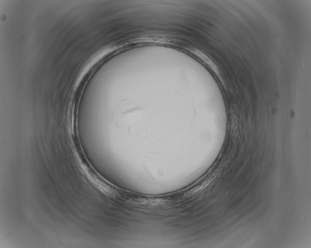 X0000081611131200702121608