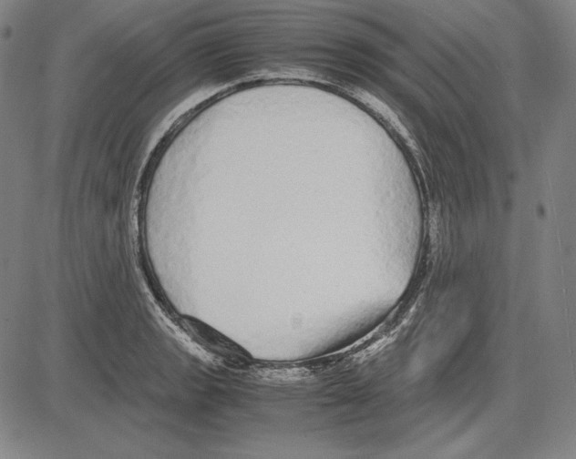 X0000081611133200702121608