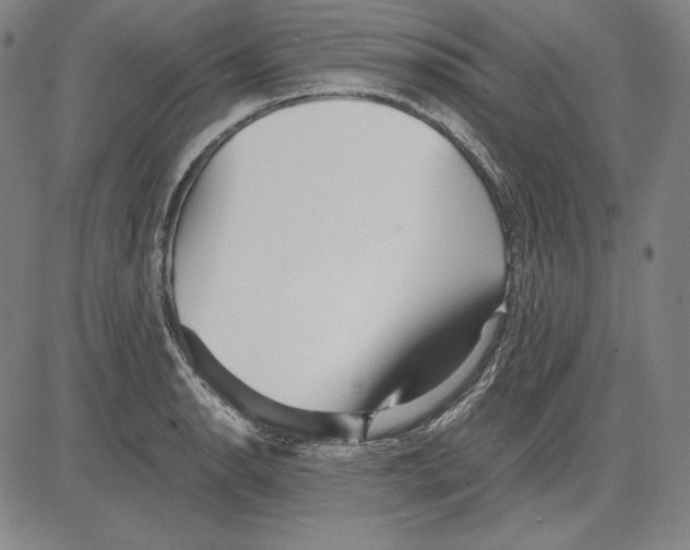 X0000081611134200702121608