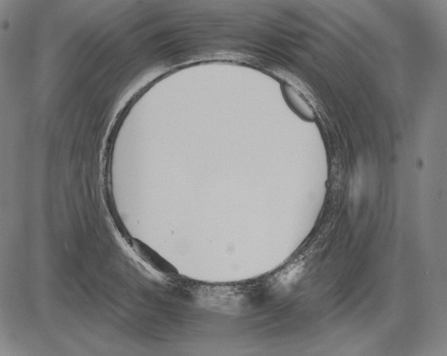 X0000081611135200702121608