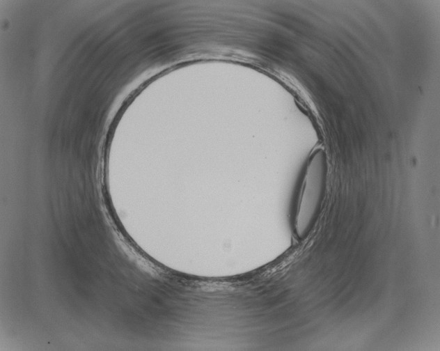 X0000081611136200702121608