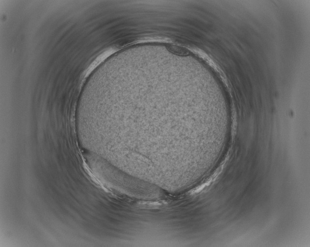 X0000081611137200702121608