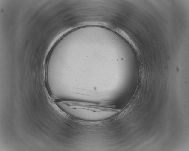 X0000081611140200702121608