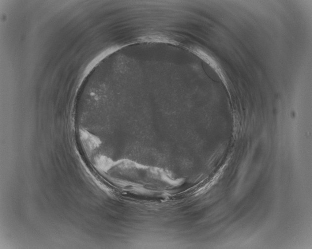 X0000081611141200702121608